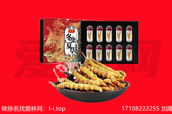 丹棱县回收虫草.jpg